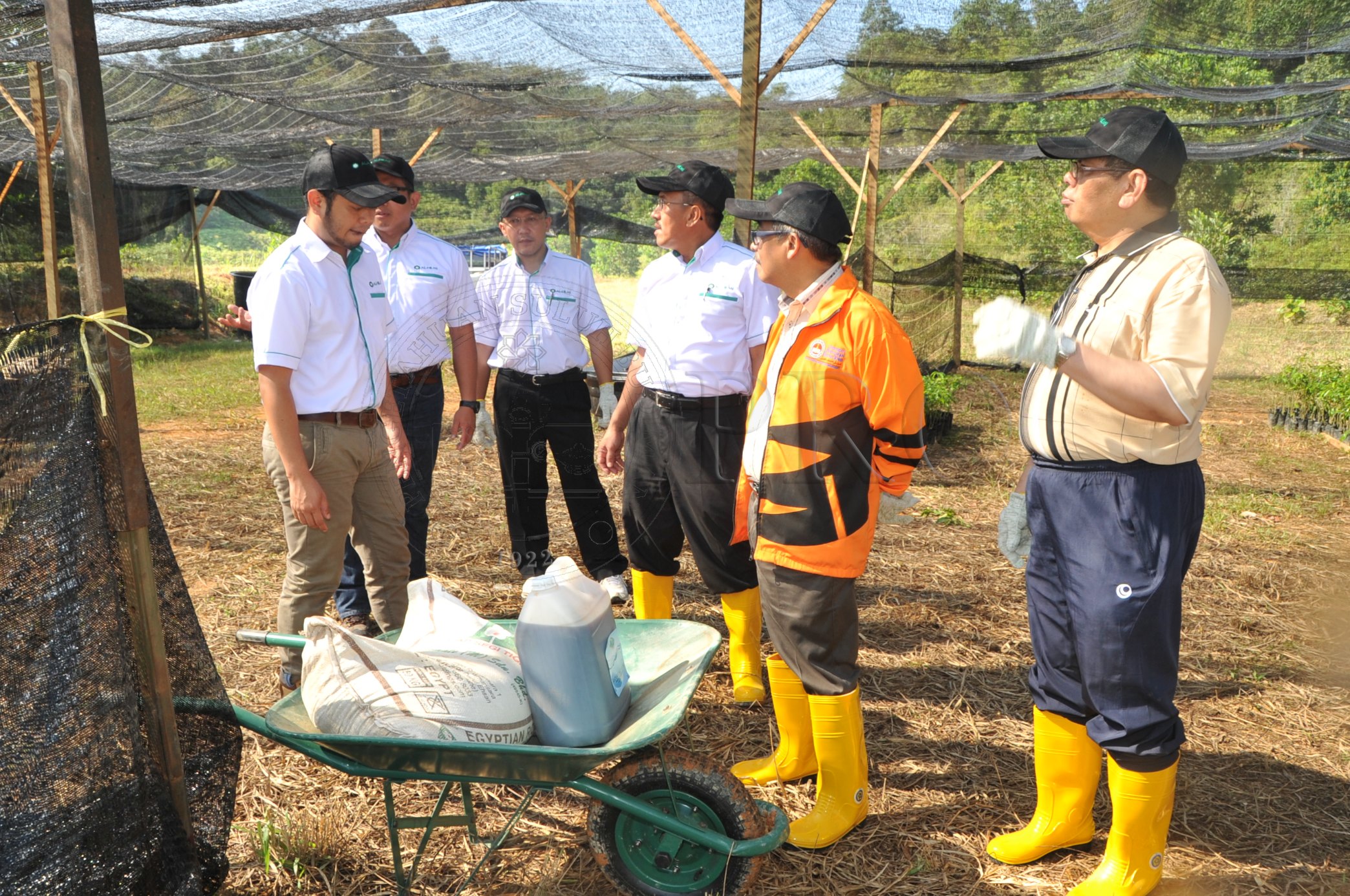 PRO 14 48 KARAS PRO 6729